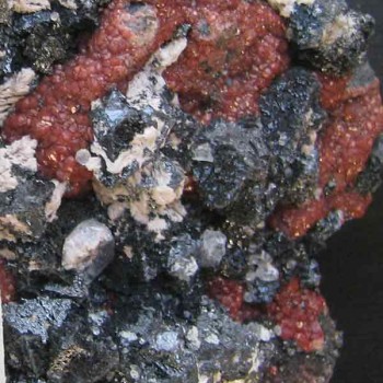androdite1