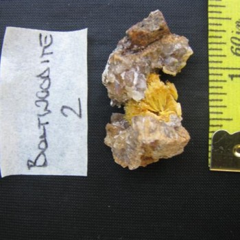 BOLTWOODITE2 (2)