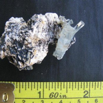 A cluster of Aquamarine with Tourmaline